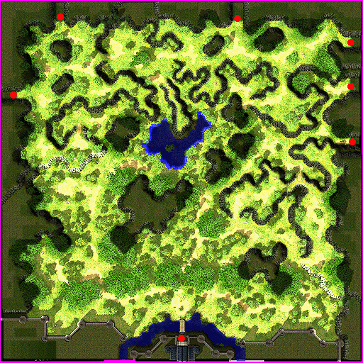 Prontera Field